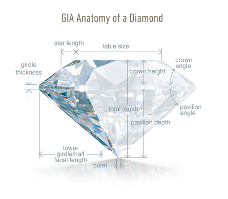 GIA Anatomy